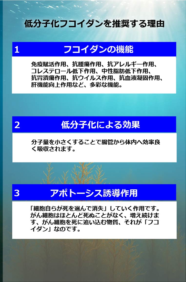 低分子化フコイダンを推奨する理由　1 フコイダンの機能　免疫賦活作用、抗腫瘍作用、抗アレルギー作用、 コレステロール低下作用、中性脂肪低下作用、 抗胃潰瘍作用、抗ウイルス作用、抗血液凝固作用、 肝機能向上作用など、多彩な機能。2 低分子化による効果　分子量を小さくすることで腸管から体内へ効率良く吸収されます。　3 アポトーシス誘導作用　「細胞自らが死を選んで消失」していく作用です。がん細胞はほとんど死ぬことがなく、増え続けます、がん細胞を死に追い込む物質、それが「フコイダン」なのです。